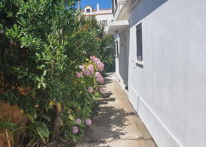 Casa de Férias The House